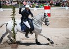 Pferd International 162